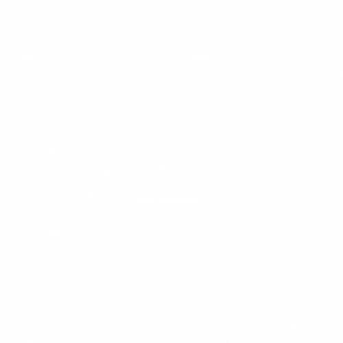 logo-animate